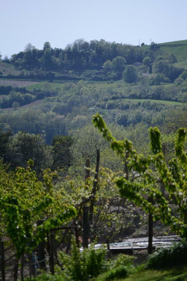 Gite Les Pins Montchenu Экстерьер фото